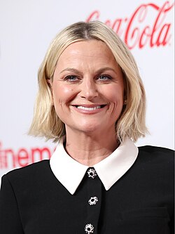Bild på Amy Poehler